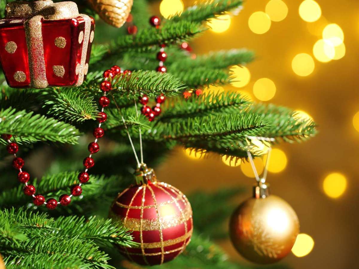 Fête de Noël&nbsp;2024